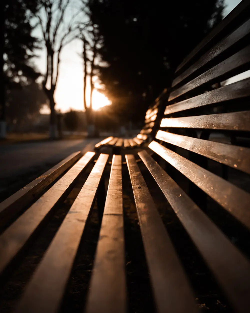 A long wooden bench stretching away toward the setting sun.